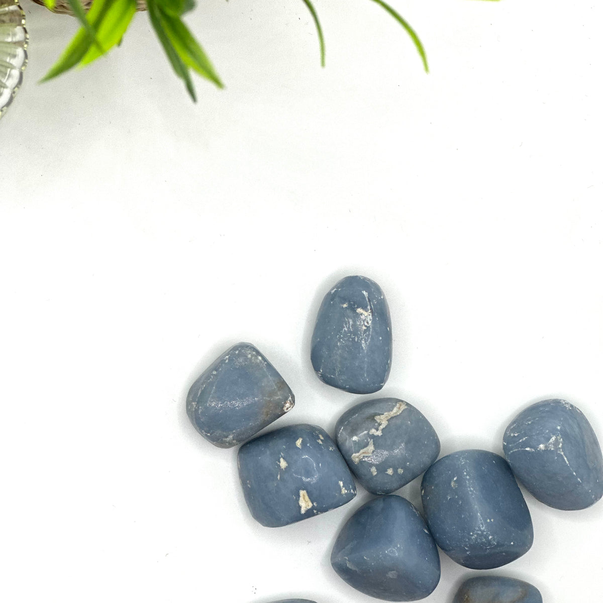 Angelite Tumbled Stone – Serenity & Higher Guidance (±2–3.5 cm)