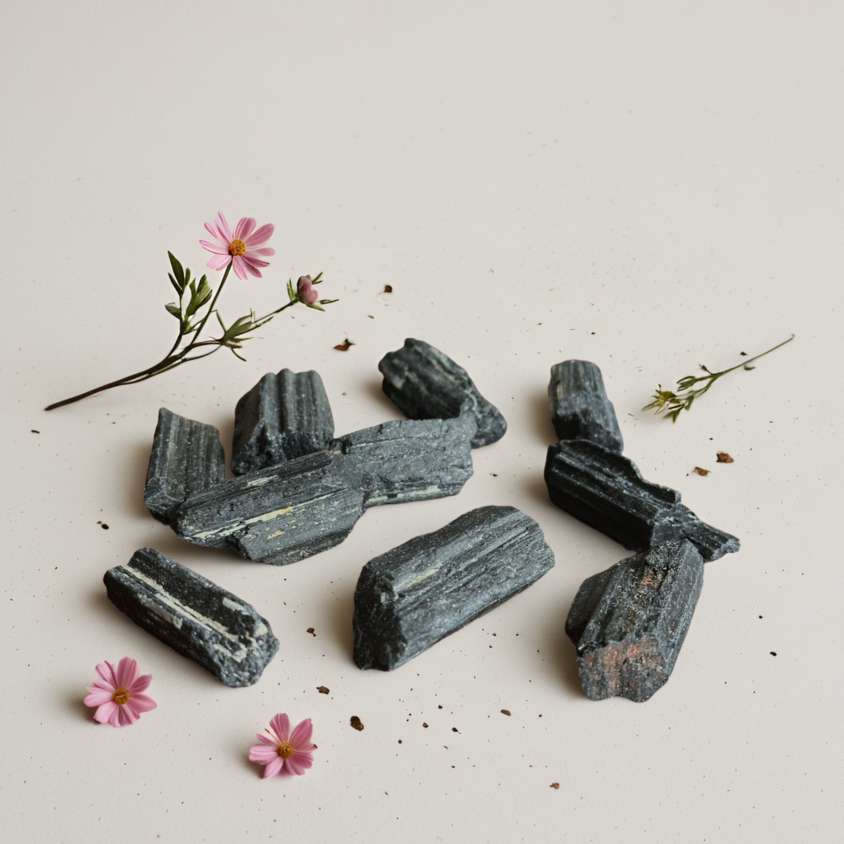 Black Tourmaline Rough Stone – Protection & Grounding