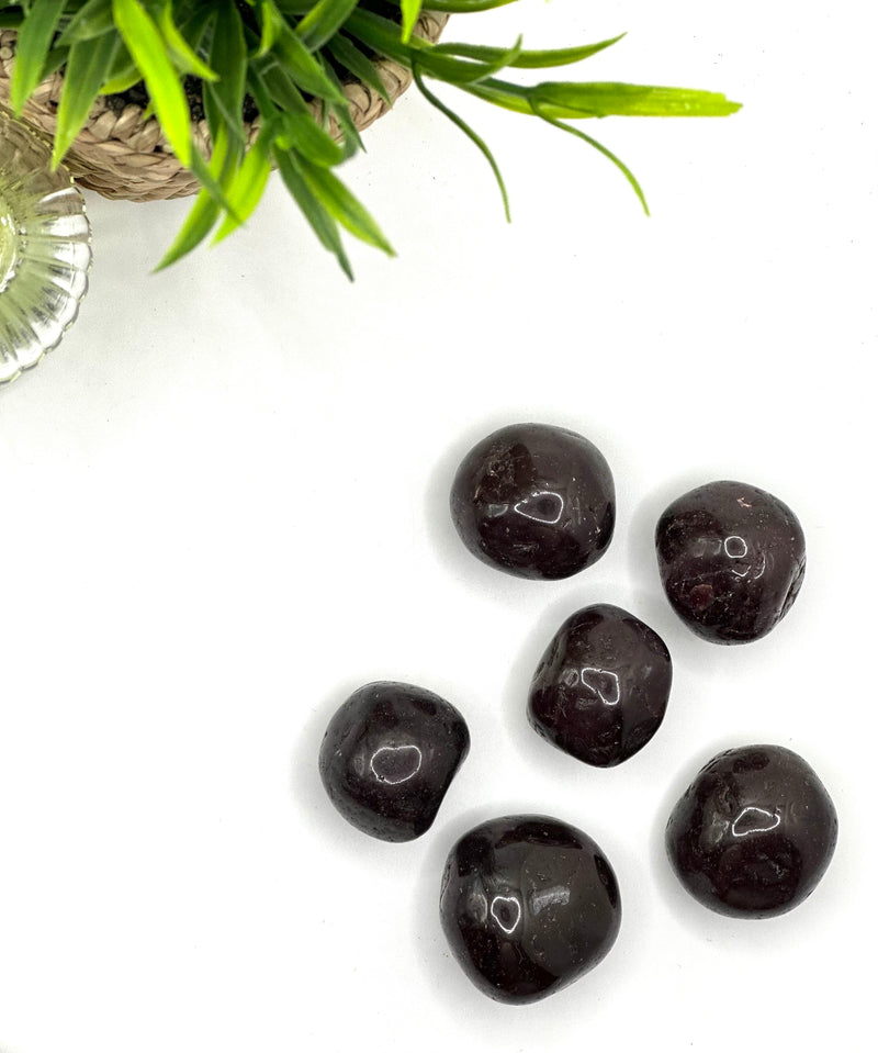 Garnet Tumbled Stone – Passion, Strength & Protection (3–4 cm)