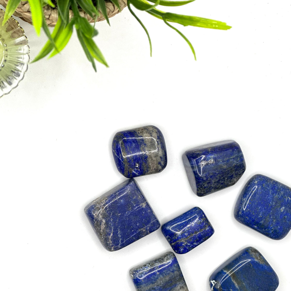 Lapis Lazuli Tumbled Stone – Intuition & Truth (±2.5–3.5 cm, AA Grade)