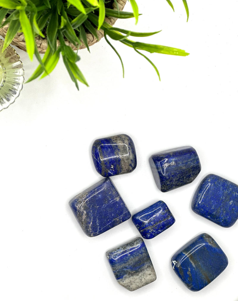 Lapis Lazuli Tumbled Stone – Intuition & Truth (±2.5–3.5 cm, AA Grade)