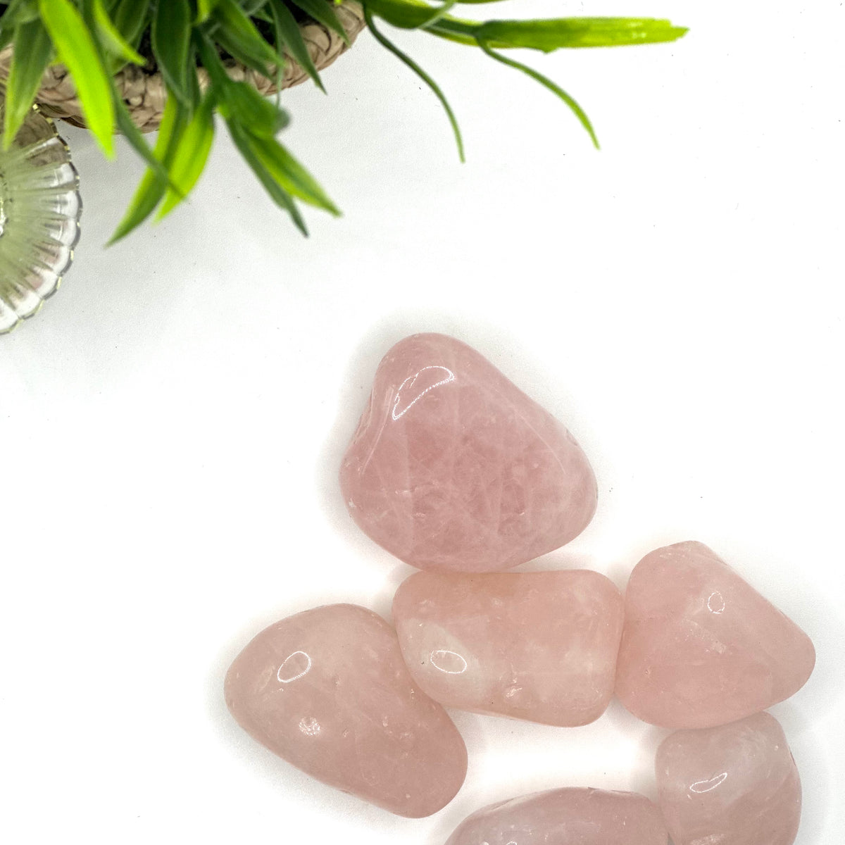 Rose Quartz stone for Love & Healing – (AA Quality ±3-5 cm)