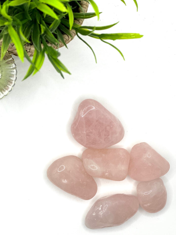 Rose Quartz Tumbled stone for Love & Healing – (AA Quality ±3-5 cm)