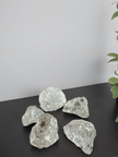 Clear Quartz (Rock Crystal) Rough Stone – Master Healer of Clarity & Energy