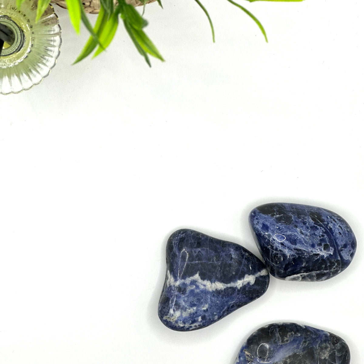 Sodalite Tumbled Stone – Intuition, Truth & Mental Clarity (±5–6 cm)