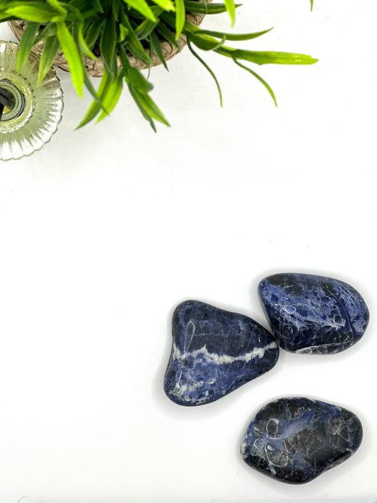 Sodalite Tumbled Stone – Intuition, Truth & Mental Clarity (±5–6 cm)