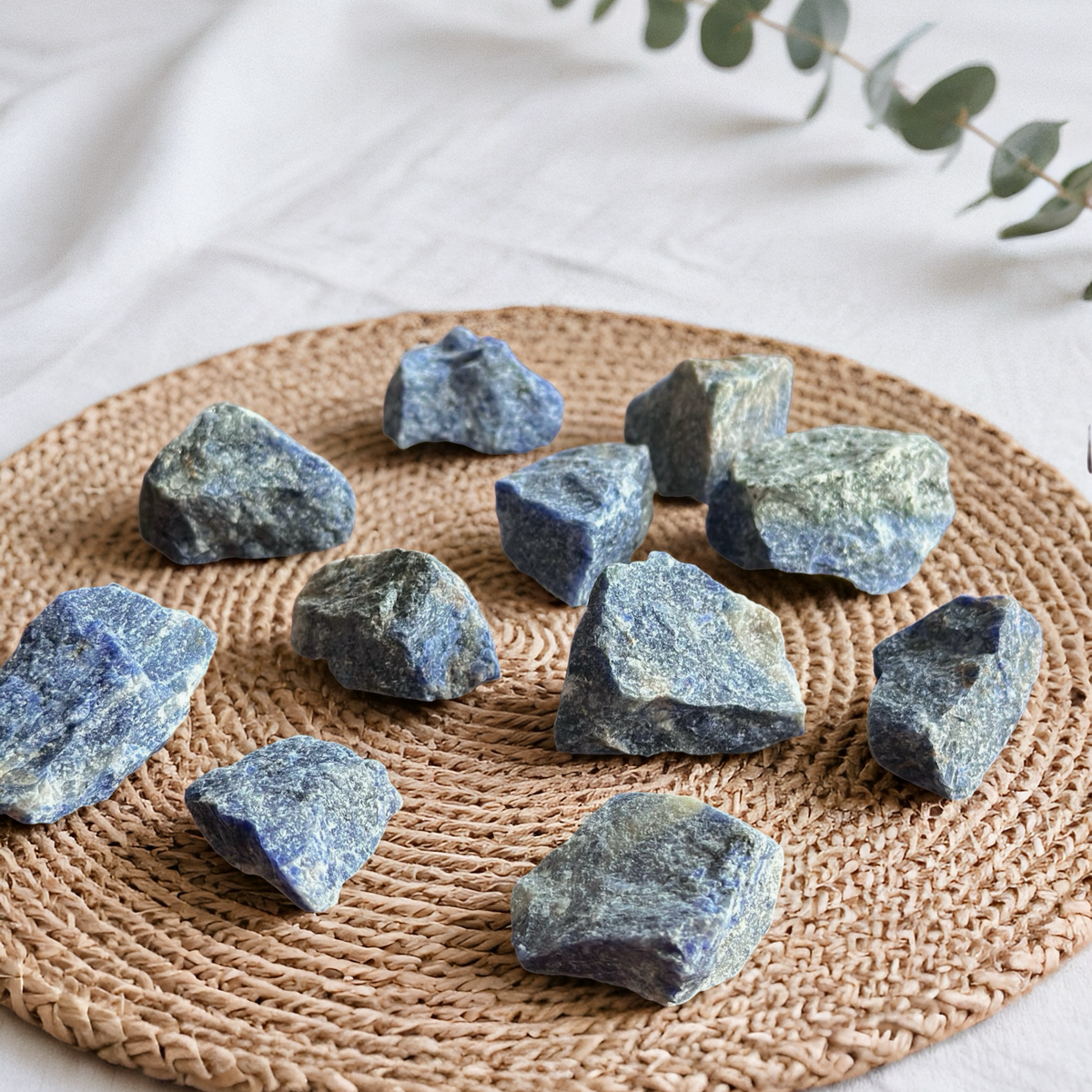Sodalite Rough Stone – Intuition & Inner Harmony (±3–4 cm)