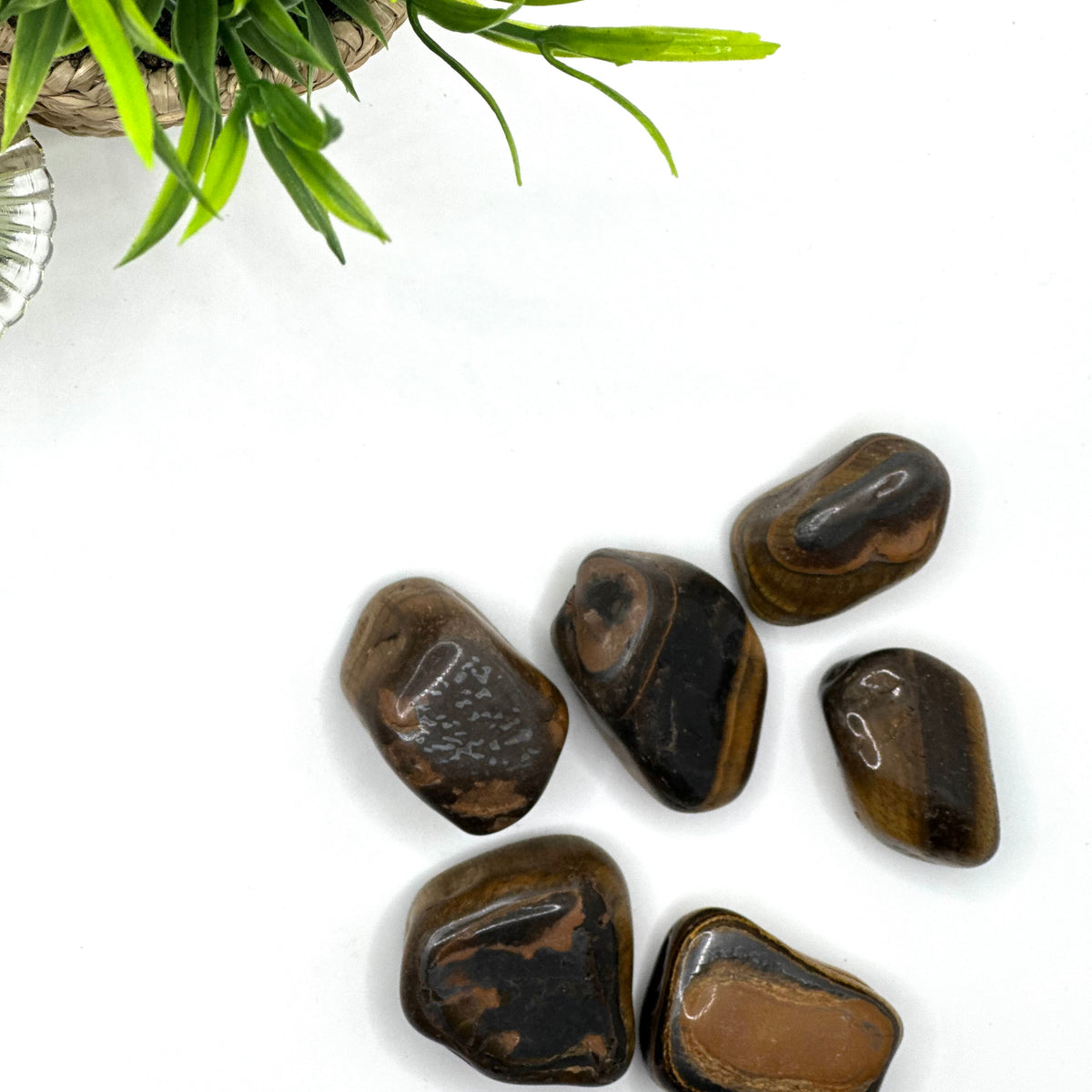 Tiger’s Eye Tumbled Stone – Courage, Focus & Protection (±3–6 cm)