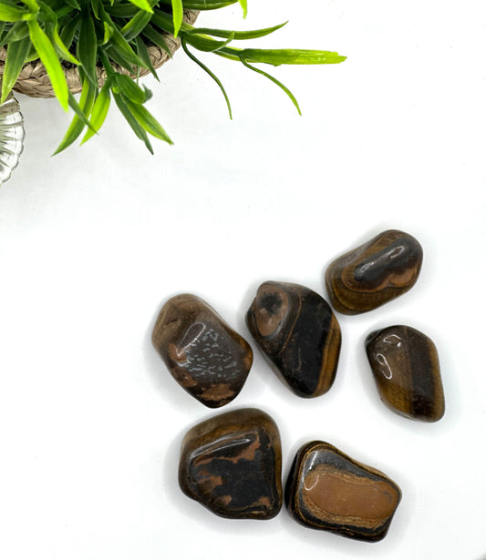 Tiger’s Eye Tumbled Stone – Courage, Focus & Protection (±3–6 cm)