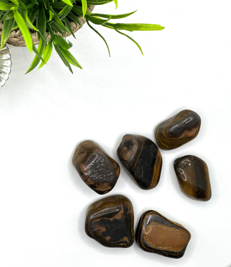 Tiger’s Eye Tumbled Stone – Courage, Focus & Protection (±3–6 cm)