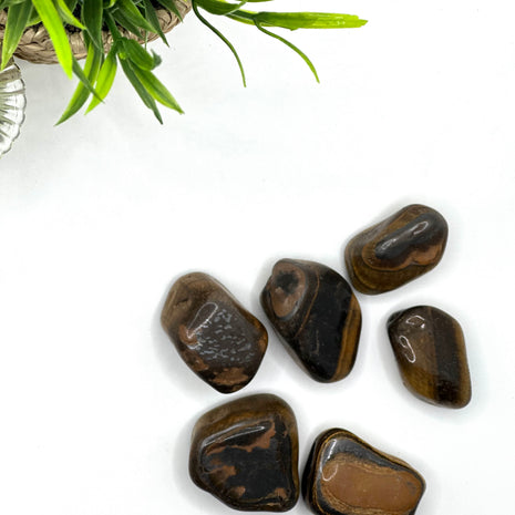 Tīģera acs akmens – "Koncentrēšanās un Aizsardzība" (±3–6 cm)